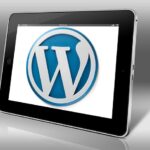 cms wordpress min