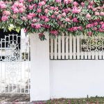 sicurezza domestica